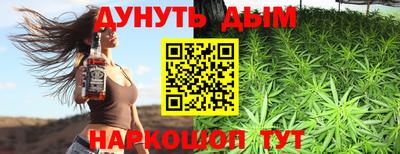 индика Лесосибирск