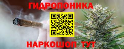 индика Лесосибирск