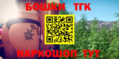 индика Лесосибирск